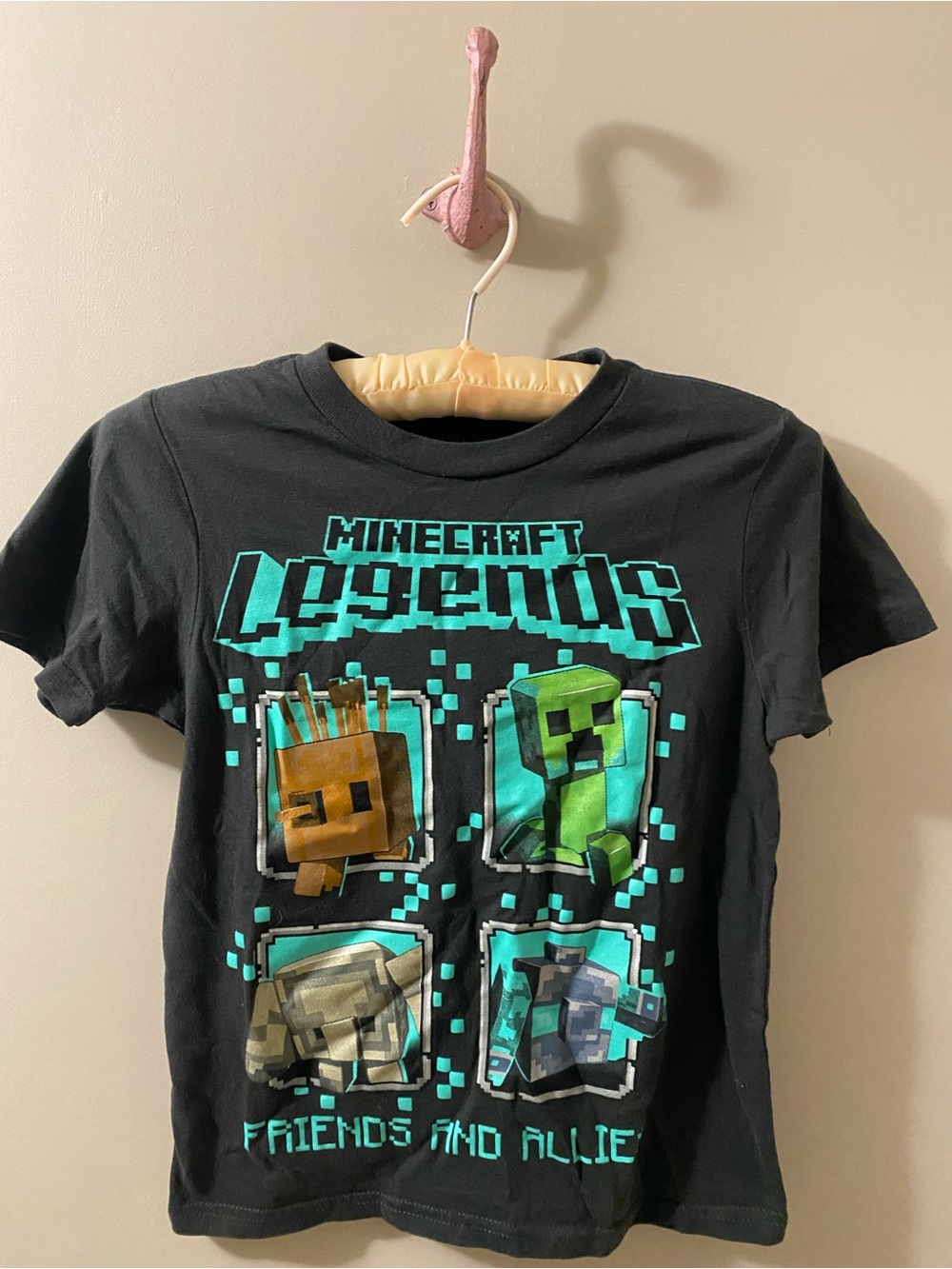 Minecraft Legends Kids Black Graphic Tee